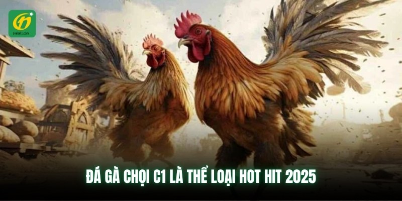 Đá gà chọi C1 là thể loại hot hit 2025