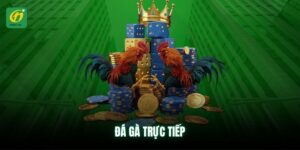 da-ga-truc-tiep