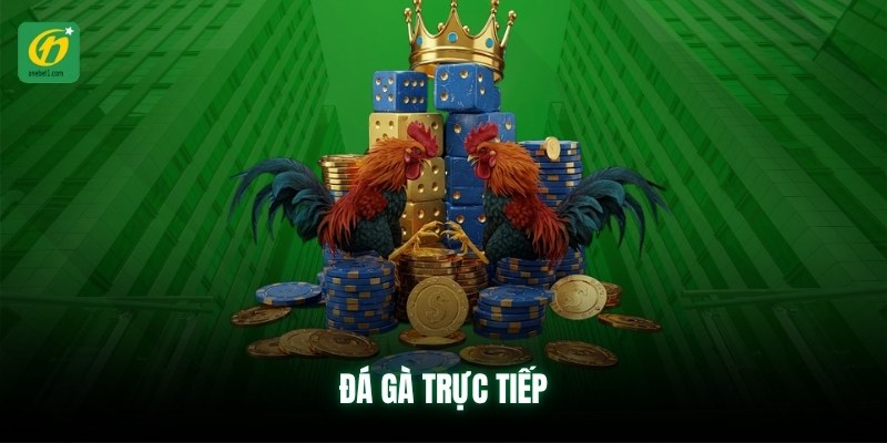 da-ga-truc-tiep