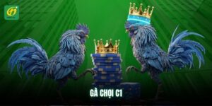 ga-choi-c1