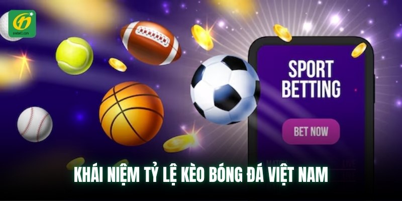 Khái niệm tỷ lệ kèo bóng đá Việt Nam