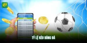 ty-le-keo-bong-da