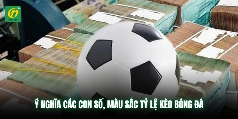 Ý nghĩa các con số, màu sắc tỷ lệ kèo bóng đá